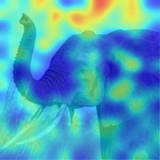CLIP-L/14: African elephant