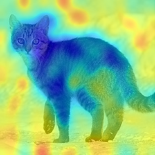 CLIP-L/14: Egyptian cat