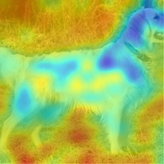 CLIP-L/14: Golden Retriever