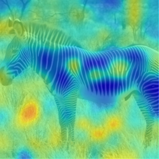 CLIP-L/14: Zebra
