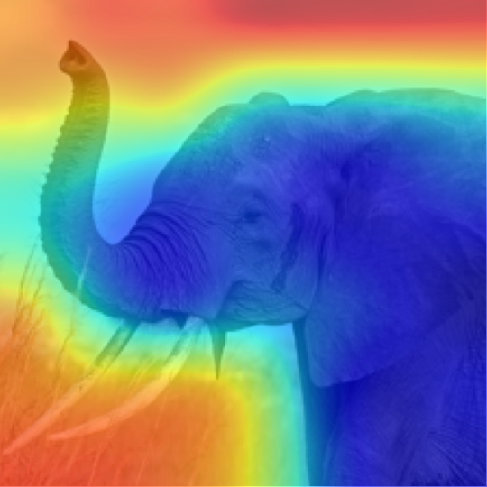 MetaCLIP-B/32: African elephant