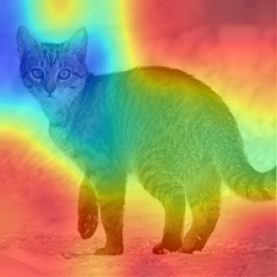 MetaCLIP-B/32: Egyptian cat