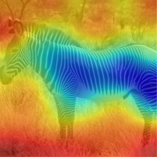 MetaCLIP-B/32: Zebra