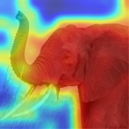 ViT-B/16: African elephant