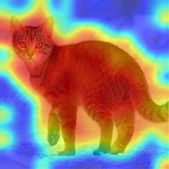 ViT-B/16: Egyptian cat