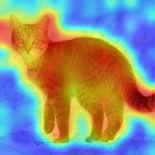 DINOv2-B/14: Egyptian cat